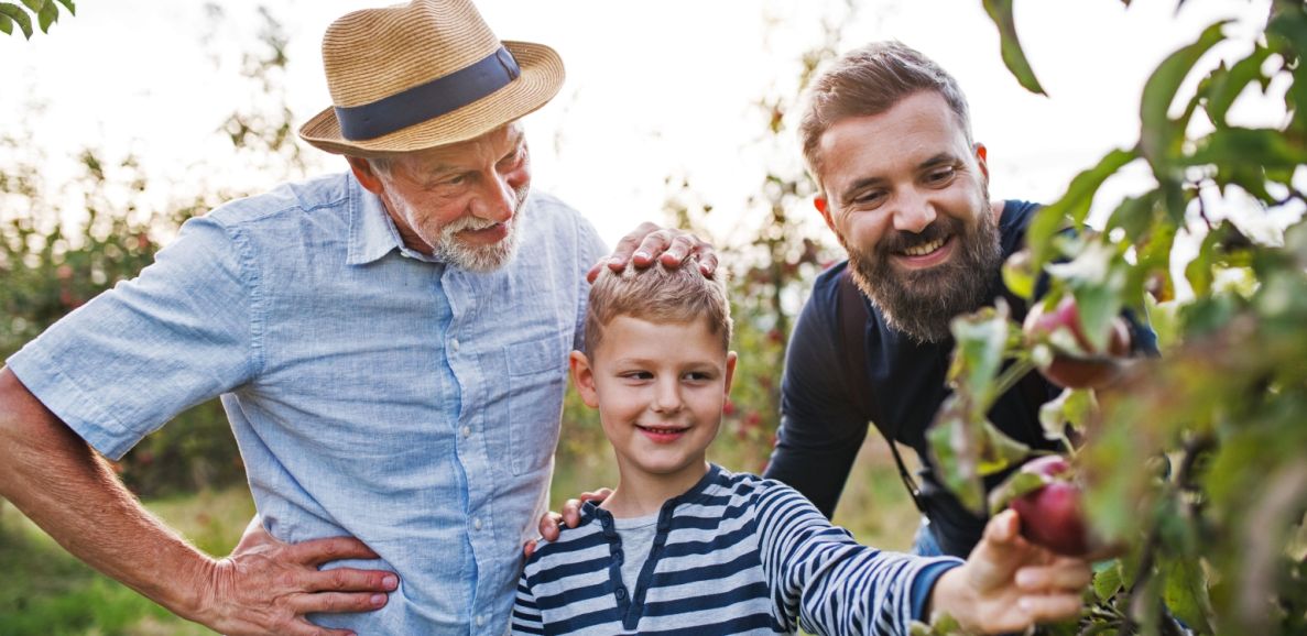 Richtig Vererben und Erben